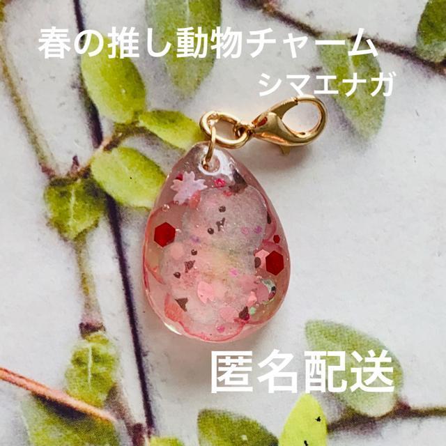 春の推し動物チャーム シマエナガ 送料無料 < 女性ファッション  春の推し動物チャーム シマエナガ 送料無料  < 女性ファッションの