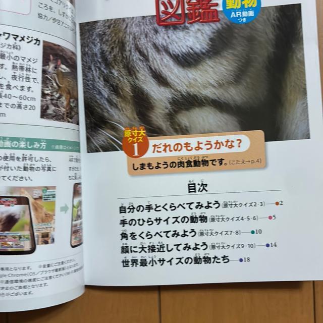 wق̐}NEO  {̑傫Ɛ}Ӂinbs[Zbĝj  {/G 