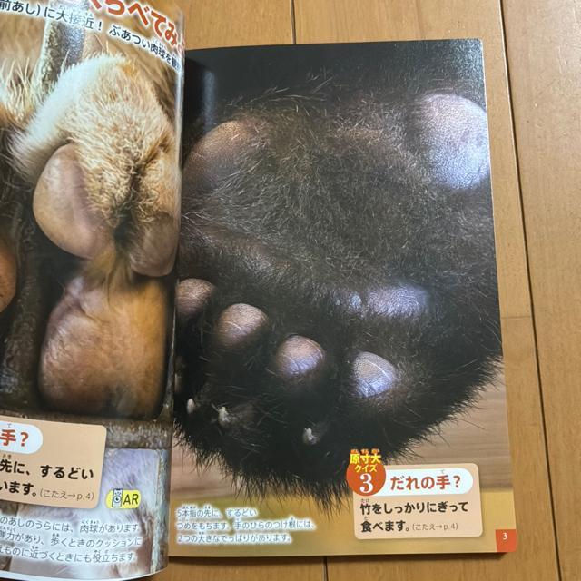 wق̐}NEO  {̑傫Ɛ}Ӂinbs[Zbĝj  {/G 