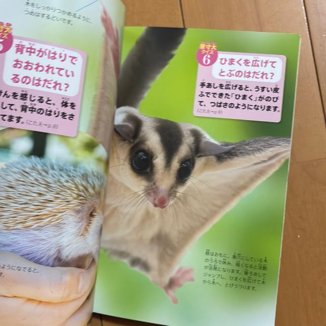 wق̐}NEO  {̑傫Ɛ}Ӂinbs[Zbĝj  {/G 