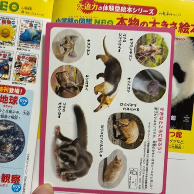 wق̐}NEO  {̑傫Ɛ}Ӂinbs[Zbĝj  {/G 