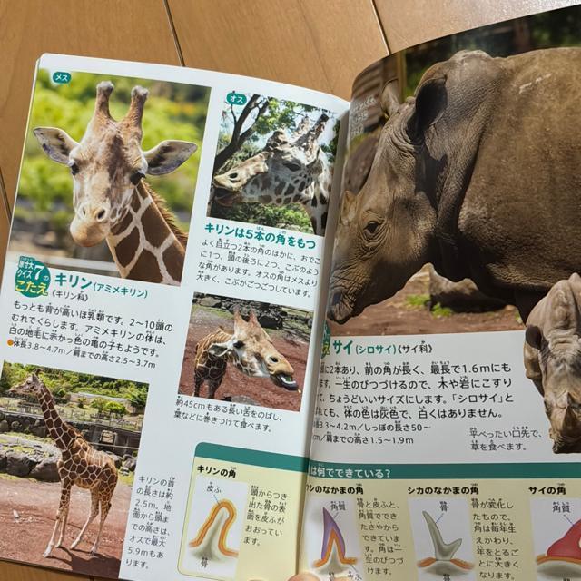 wق̐}NEO  {̑傫Ɛ}Ӂinbs[Zbĝj  {/G 