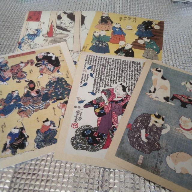 G L̃|XgJ[h 5Zbg@F   zr[ 