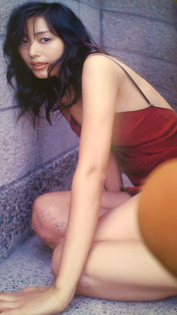 ݁Eؑ]EŏōŌ̎ʐ^WE]`̐F`iEѕt  ^gObY 