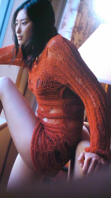 ݁Eؑ]EŏōŌ̎ʐ^WE]`̐F`iEѕt  ^gObY 