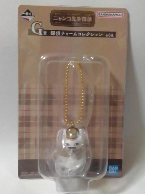 ĖڗFlԂ`jR搶T`G T`[RNV 