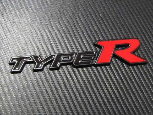 TYPE R ^Cv A[ ^ J[̉ʒFdグ ^ GuI  /oCN