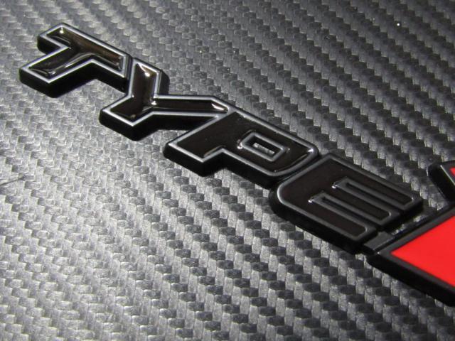 TYPE R ^Cv A[ ^ J[̉ʒFdグ ^ GuI  /oCN