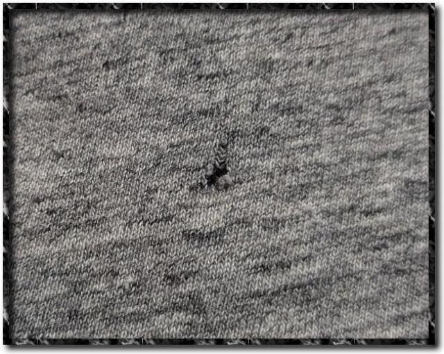 VbvXWFbgu[@p[J[@O[  uh 