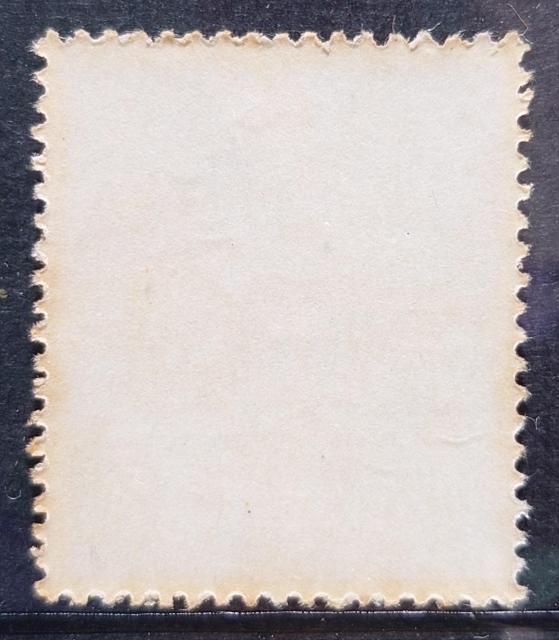 {X {̐؎ gp؎ LO؎ mpʐLO 1961N ֌ KCV   z10~  zr[ 