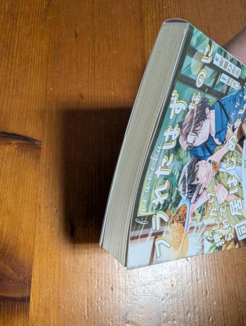 小説 BL 7月刊 フラれたはずなのに押しかけられて同居はじめました。 安曇ひかる シャレード文庫 < 本/雑誌 小説 BL 7月刊 フラれたはずなのに押しかけられて同居はじめました。 安曇ひかる シャレード文庫 < 本/雑誌の