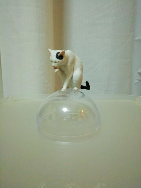 森口修の猫 B フィギュアマスコット < ホビー  森口修の猫 B フィギュアマスコット  < ホビーの