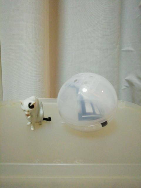 森口修の猫 B フィギュアマスコット < ホビー  森口修の猫 B フィギュアマスコット < ホビーの