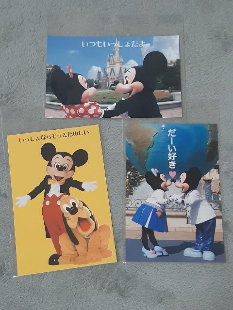 TDL ポストカード3枚セット < アニメ/コミック/キャラクター  TDL ポストカード3枚セット  < アニメ/コミック/キャラクターの