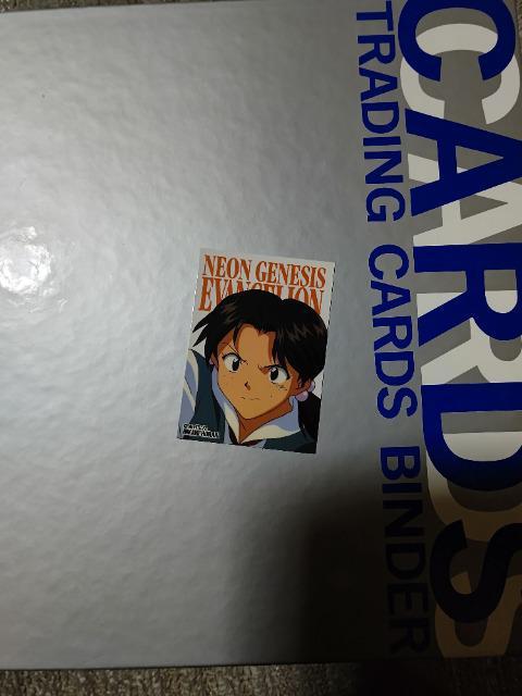 �g���J �G���@���Q���I��2 �L�����N�^�[�J�[�h 19�� �� �g���[�f�B���O�J�[�h�� 