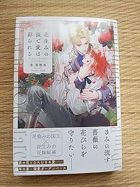 PV@@Ԑ݂̗܂ň͍ʂ@@@G䗢/Ciel 