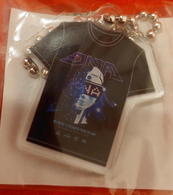 倖田來未 非売品 缶バッチ ボールチェーンキーホルダー DNA < タレントグッズ 倖田來未 非売品 缶バッチ ボールチェーンキーホルダー DNA < タレントグッズの