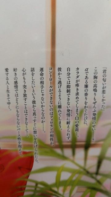 ^ȏl㉺L傤  Aj/R~bN/LN^[ 