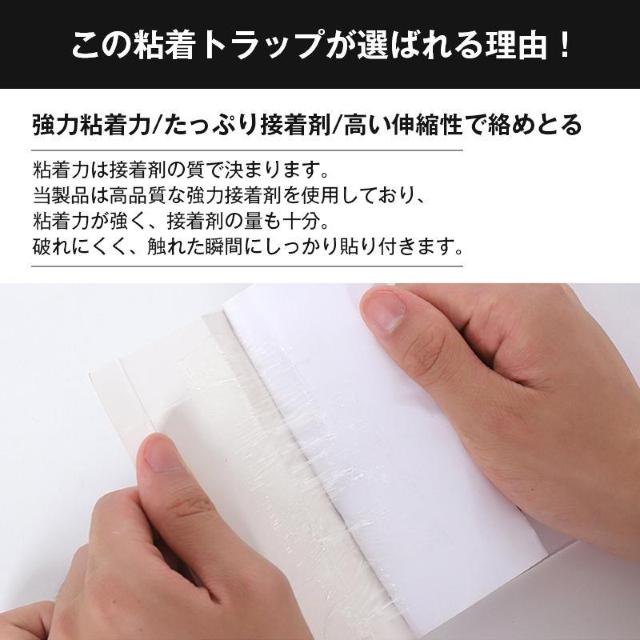 害虫 ゴキブリ ムカデ 捕獲 強力 粘着 トラップ シート 10枚セット 組立簡単 折りたたみ式 ネズミ クモ アリ 対策 薬剤不 < インテリア/ライフ 害虫 ゴキブリ ムカデ 捕獲 強力 粘着 トラップ シート 10枚セット 組立簡単 折りたたみ式 ネズミ クモ アリ 対策 薬剤不 < インテリア/ライフの
