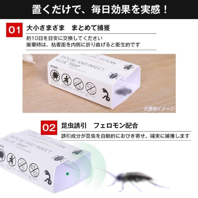 害虫 ゴキブリ ムカデ 捕獲 強力 粘着 トラップ シート 10枚セット 組立簡単 折りたたみ式 ネズミ クモ アリ 対策 薬剤不 < インテリア/ライフ 害虫 ゴキブリ ムカデ 捕獲 強力 粘着 トラップ シート 10枚セット 組立簡単 折りたたみ式 ネズミ クモ アリ 対策 薬剤不 < インテリア/ライフの