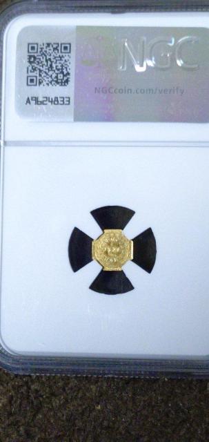 �y�H���i�z�J���t�H���j�A�@�S�[���h�g�[�N�����_�~�l�����@�@NGC���Ӓ�MS64�A�����J���� �� �z�r�[�� 