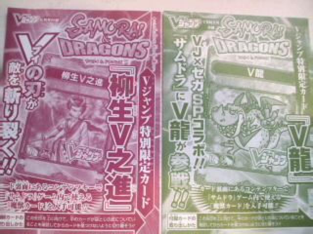 VJ聙SAMURAI&DRAGONS/VVi/V2ZbgVigp  g[fBOJ[h 