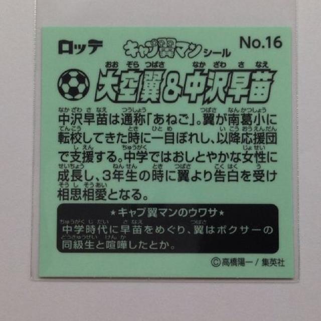 Lv}V[ No.16   c  Aj/R~bN/LN^[ 