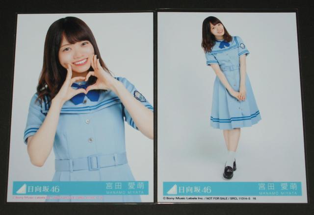 46@ȂɍDɂȂẮH ʐ^@{cG   ^gObY 