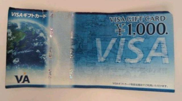 VISA1000~ 