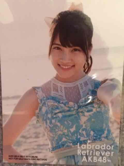 激安!☆ラブラドールレトリバー/通常盤生写真☆AKB48.入山杏奈☆ < タレントグッズ  激安!☆ラブラドールレトリバー/通常盤生写真☆AKB48.入山杏奈☆  < タレントグッズの