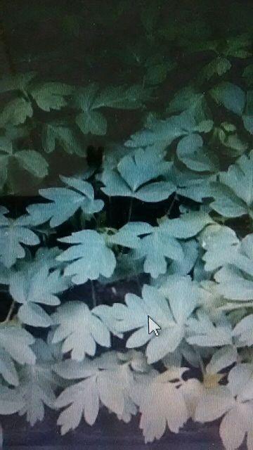 ẴJ[e D 50   ybg/|/| 