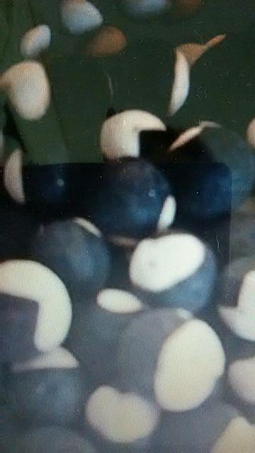 ẴJ[e D 50  ybg/|/| 