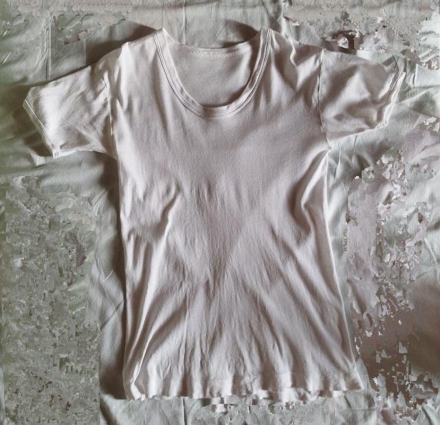 100%@@@UlbN@TVc@Á@amM  jt@bV 