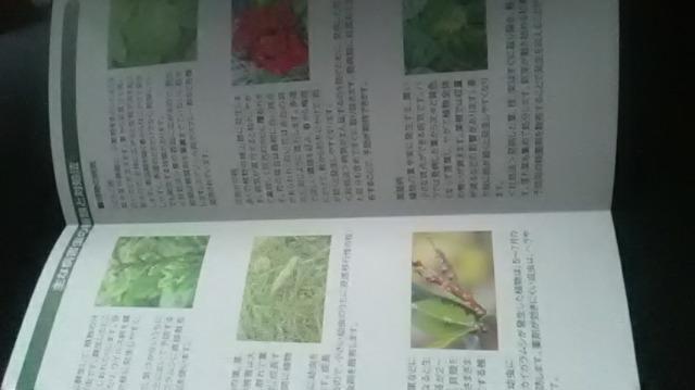 病害虫の予防と防除冊子 < ペット/手芸/園芸  病害虫の予防と防除冊子 < ペット/手芸/園芸の