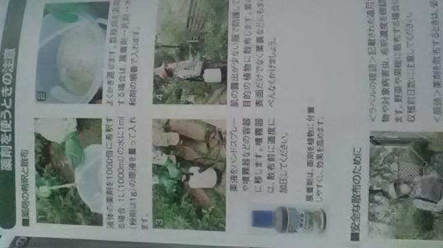 病害虫の予防と防除冊子 < ペット/手芸/園芸  病害虫の予防と防除冊子 < ペット/手芸/園芸の