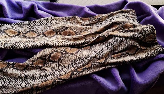 �����L�k2�_��SLY�u���l�I��pink�V���L�s���X�g���b�`���u�j�b�g�~EGOIST�p�C�\���փX�l�[�NSEXY�X�g���b�`�t���A�p���c �� �����t�@�b�V������ 