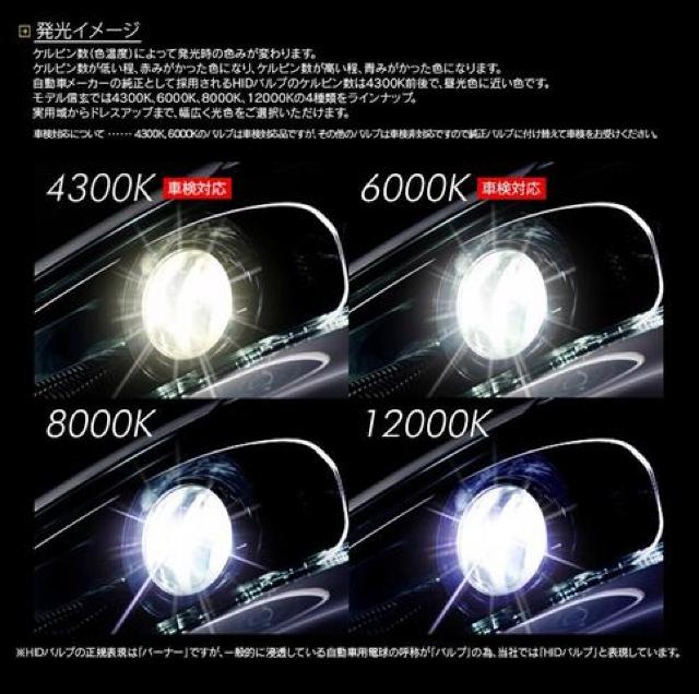 信玄 純正交換用HIDバルブ D2S 6000K < 自動車/バイク 信玄 純正交換用HIDバルブ D2S 6000K < 自動車/バイク