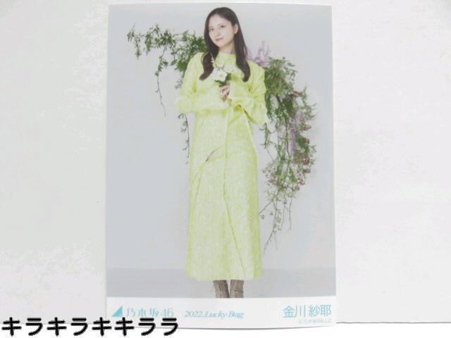 sNewtT؍46/і끚2022N*Lucky Bag[ʐ^]   ^gObY 