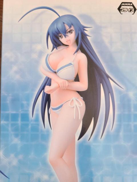 めだかボックス プレミアムサマービーチフィギュア < アニメ/コミック/キャラクター めだかボックス プレミアムサマービーチフィギュア < アニメ/コミック/キャラクターの