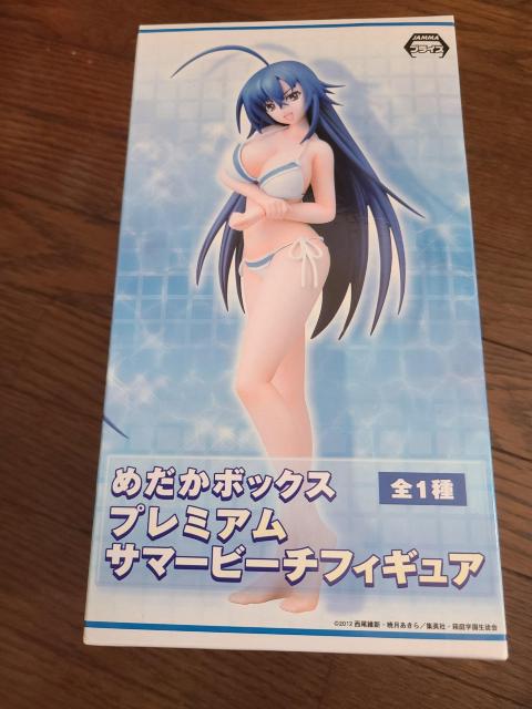 めだかボックス プレミアムサマービーチフィギュア < アニメ/コミック/キャラクター めだかボックス プレミアムサマービーチフィギュア < アニメ/コミック/キャラクターの