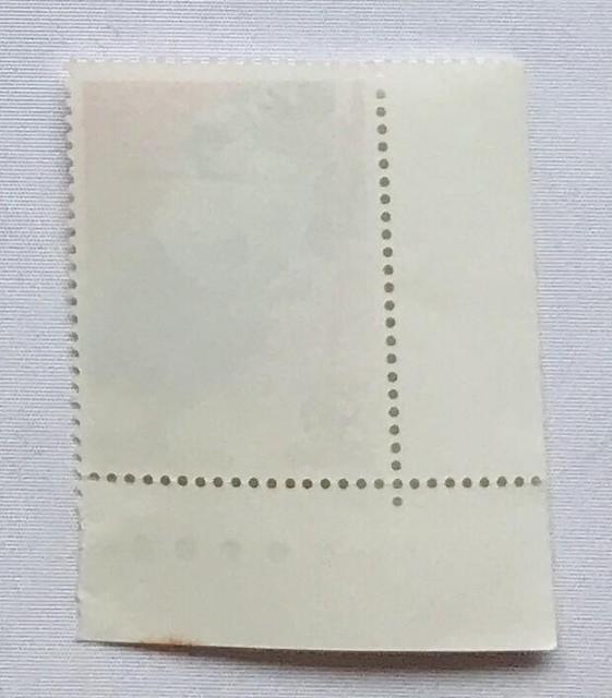 m`f`mn@ܗց@IsbN@80~؎@J[}[N@CM  zr[ 