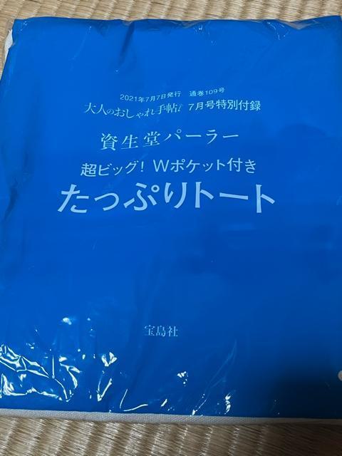 資生堂パーラー Wポケット付きたっぷりトート < 女性ファッション  資生堂パーラー Wポケット付きたっぷりトート  < 女性ファッションの