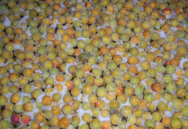 ���K�i�O���I�B�̓썂�~�@�~�������P�L��(�����EM�EL�T�C�Y)�����菝�E�j��L�聚 �� �O����/�h�����N�� 