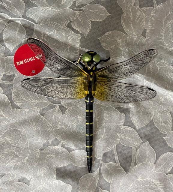 �yTAITO����z���A���I�j�����} �t�B�M���A  �� �z�r�[�� 