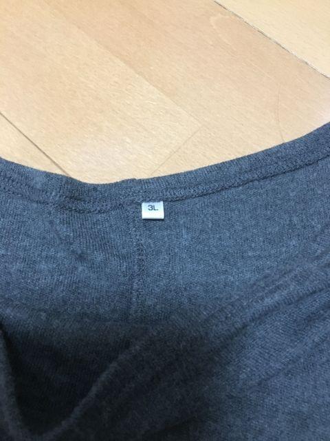 【美品】重ね着トップス 大きいサイズ 秋冬物 < 女性ファッション  【美品】重ね着トップス 大きいサイズ 秋冬物 < 女性ファッションの