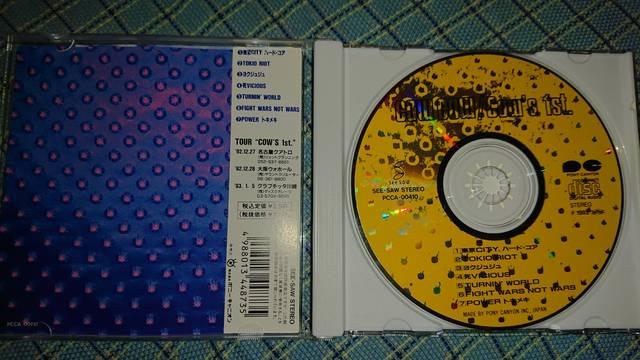 Cow cow/cow's 1st ���t�B�� �R�u�� �� CD/DVD/�r�f�I�� 