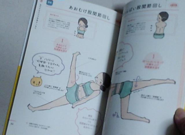 F`R/Ԃg邫̑