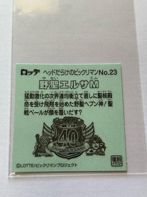wbh炯̃rbN}NO.23 쐹GTM(ZCGTG)