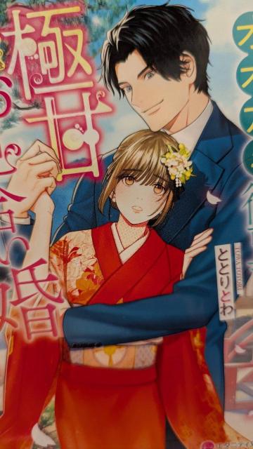 オオカミ御曹司と極甘お見合い婚★ととりとわ★エタニティ文庫 < 本/雑誌 オオカミ御曹司と極甘お見合い婚★ととりとわ★エタニティ文庫 < 本/雑誌の