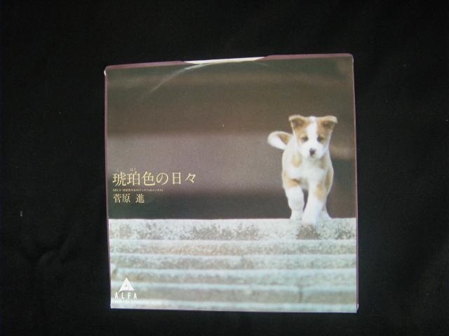 菅原進 琥珀色の日々 D227 < CD/DVD/ビデオ 菅原進 琥珀色の日々 D227 < CD/DVD/ビデオの